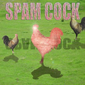 SPAM