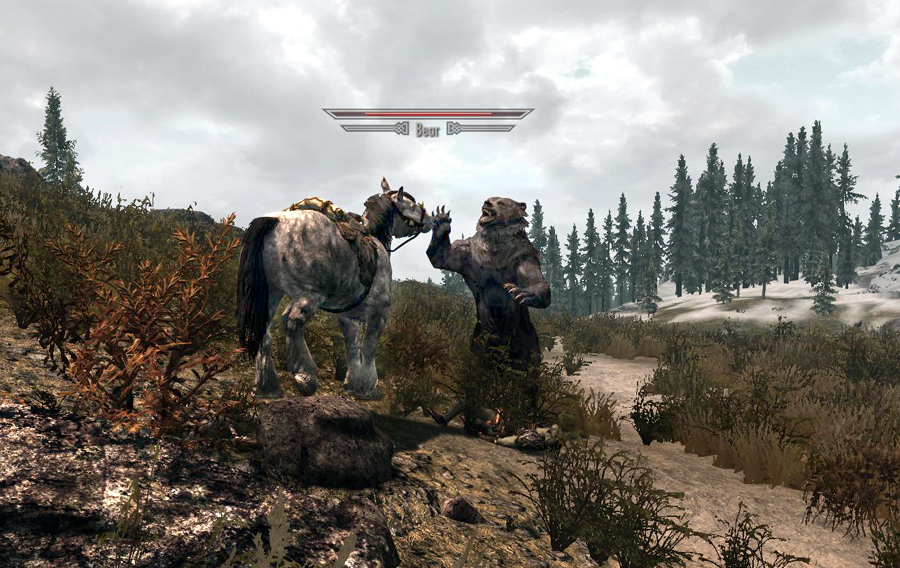 Bear Vs horse, Hoof Vs Claw!