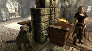 Dog, inn, Bard - A usual night for me