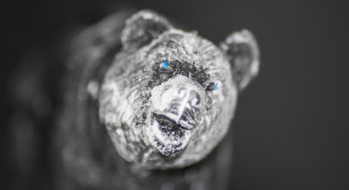 Look I'm a polar bear!