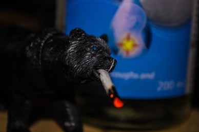 I'll be like a bear with a sore head in the morning!