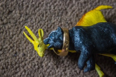 I now pronounce you bear and gazelle!